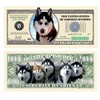 American Art Classics Siberian Husky Dog Million Dollar Notes Set