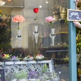 8 x Orchid Tubes, Water Tubes, Flower Tubes, Transparent Plastic Flower Tubes, Flower Water Container, Flower Bottle with Suction Cup, Plastic, Transparent Tubes with Cleaning Brush