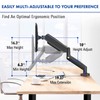 Stellar Mounts Spring LCD Monitor Arm with USB and Multimedia