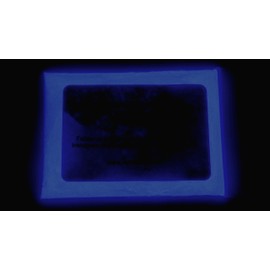 Glow in The Dark Pigment Powder - Neutral and Fluorescent Color for Art Painting, Fine Art, Nail Art Paint, and DIY Crafts - Long Lasting, 10+ Color Options - Neutral Dark Blue - (60 Grams/ 2.12 oz)