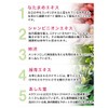 Natadeu Kaifu Mint Scent, Set of 5 Bags