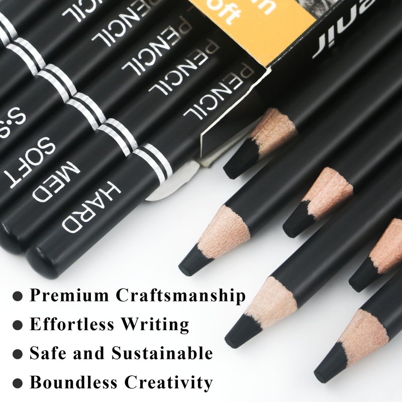 Aenir Charcoal Pencils for drawing, Set of 12, Charcoal Drawing