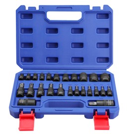 WORKPRO 25-Piece Torx Bit Socket Set, 1/4", 3/8", 1/2" Drive, E4-E22, T8-T60 Female & Torx Socket Set, CR-V & S2 Alloy Steel