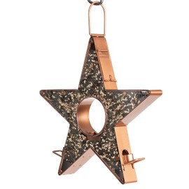 Good Directions Star Feeder with Plexiglass
