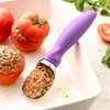 Spring Chef Ice Cream Scoop with Comfortable Handle, Professional Heavy