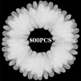 800Pcs White Craft Rooster Feathers 3-5 inch Bulk Feathers for Crafting Kindergarten DIY Crafts, Wedding, Family Party Decorations, Dream Catcher Supplies, Natural Feathers