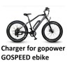 coming data power supply battery Charger for gopower GOSPEED GO