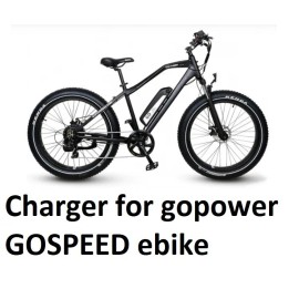 coming data power supply battery Charger for gopower GOSPEED  GO SPEED  electric bike