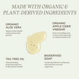 Non Toxic Vegan Shampoo with Organic Ingredients, Apple Cider Vinegar & Tea Tree Oil - Sulfate Free, Color Safe, Paraben Free, Gluten Free, Cruelty Free, pH Balanced (2-Pack)
