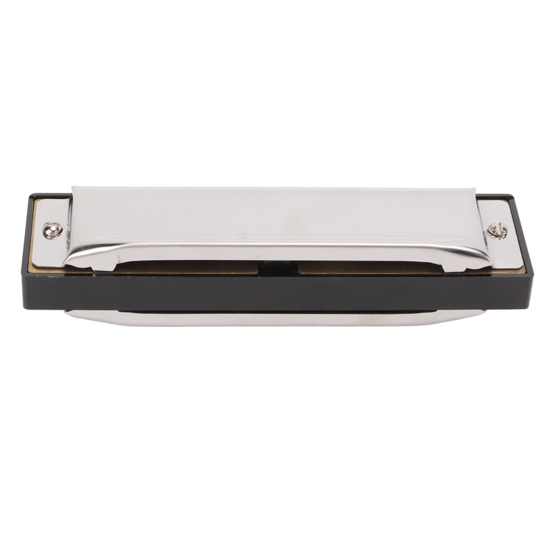 G Key Harmonica 10 Hole 20 Tone Mouth Organ Rust