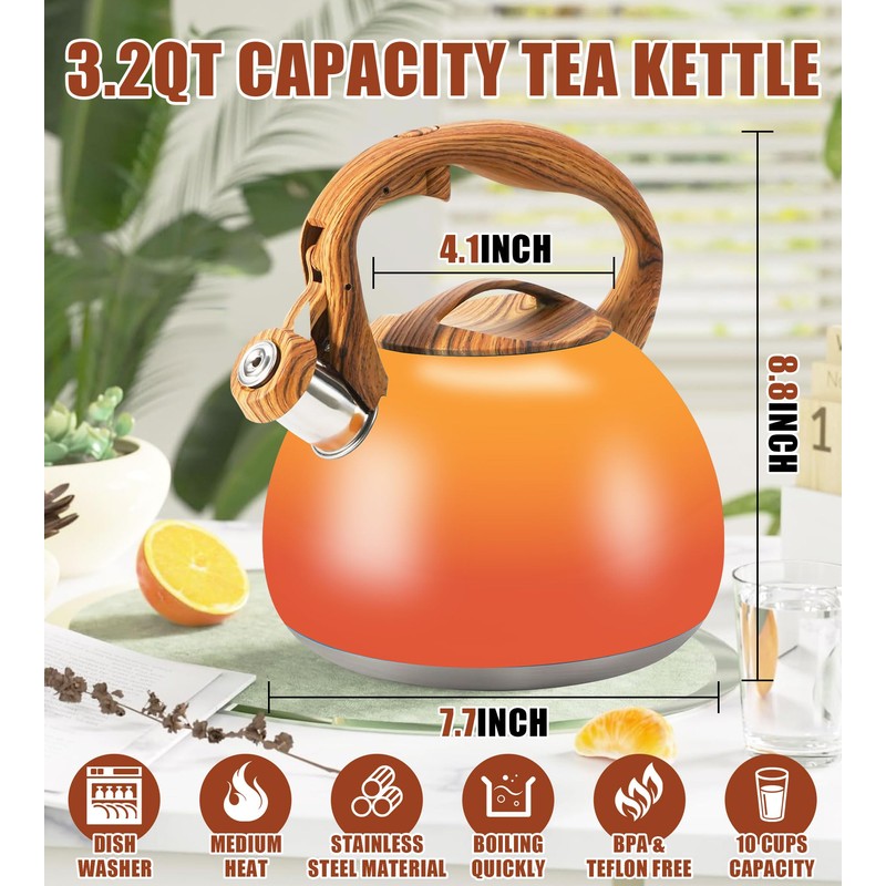 Foedo Tea Kettle Stovetop, 3.2Qt Stainless Steel Tea pots with