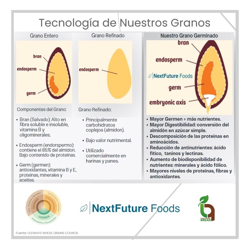 Avena Germinada en Hojuelas I SIN GLUTEN I 680gr I