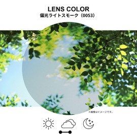 SWANS Sunglasses DF-Pathway Polarized Lens Model PW-0053 MBK Matte Black/Matte Black for Driving, Fishing, Running, Golf