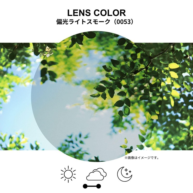 SWANS Sunglasses DF-Pathway Polarized Lens Model PW-0053 MBK Matte Black/Matte