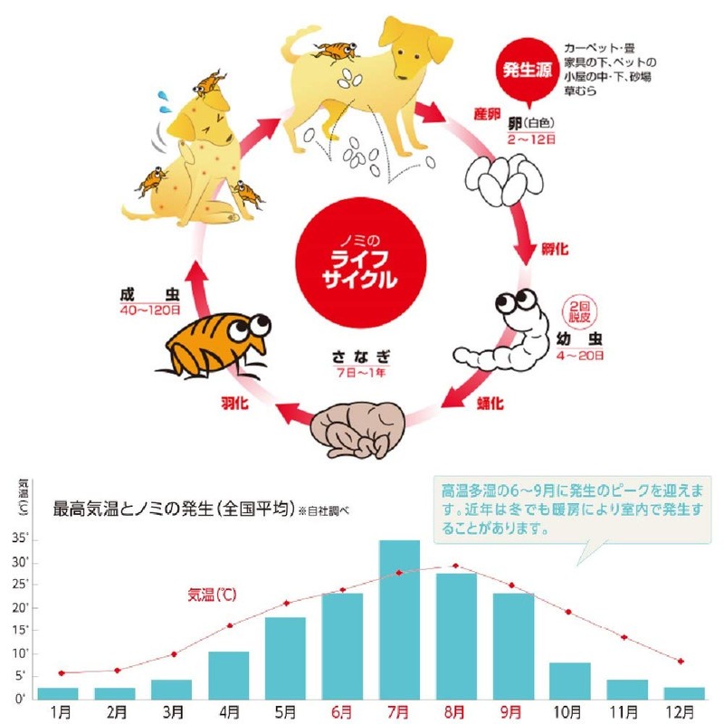 アース・ペット 薬用ショットオン 猫用 0.8g 1本入り
