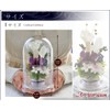 Art Four Seasons ● Offering Flowers 2 Colors Preserved Flowers