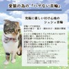 Caniribo Handmade Cat Collar, Cat Collar, Ribbon, Scrunchie Collar with