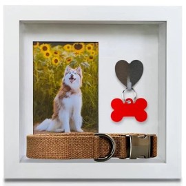 Green Pollywog Dog Tag Keepsake and Picture Frame | Pet Collar Tag Memorial Shadowbox Frame