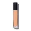 Diffusion Dew Lightweight Foundation - Color: Suede 12