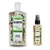 Kit Anti Caida De Romero Canela Y Jengibre Beauty Glow