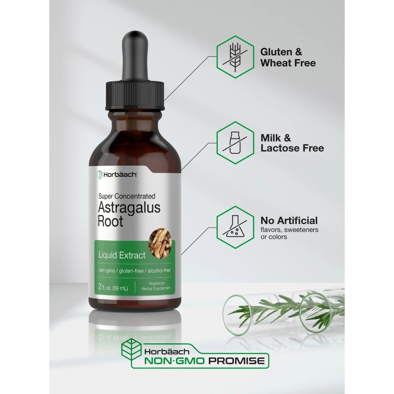 Horbäach Astragalus Root Liquid Extract | 2 oz | Alcohol