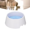 Pet Slow Water Feeder Splash Proof Prevent Slip Raised Water