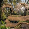 Orchid Valley Lizard, Snake or Reptile Hide. Large Hollow Log