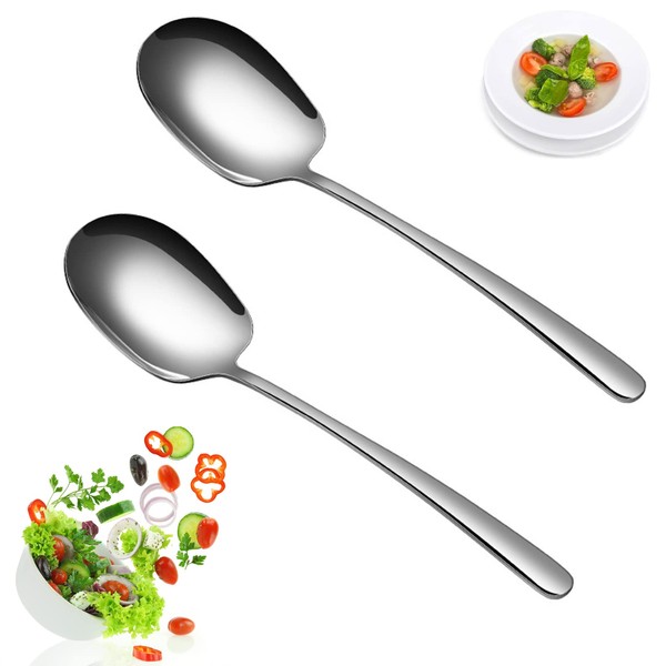 Set of 2 Serving Spoons, Large Spoons, Stainless Steel Spoons,