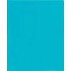 León 2-Pocket Carpeta de plástico con sujetadores, 1 carpeta, 1