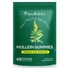 Mullein Gummies for Lungs, Edible Fitness Dietary Gummy, 1000mg Mullein
