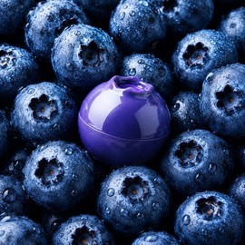 Pretty Skin Blueberry Lip Balm 9g / 프리티스킨 블루베리 립밤 9g