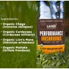 Laird Superfood Performance Mushroom Blend 3.17oz Energy Cognition Best By