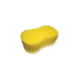 Car Sponge