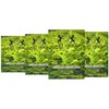 SRILUXE - Special Green Tea Loose Leaf Premium Quality |