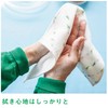 Imabari Towel Handkerchief Flower Iroha Retro 9.4 x 9.4 inches