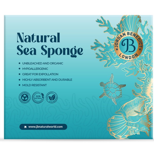 Jordan Benedict Natural Sea Sponge for Bath and Shower (XXL, Pack of 1)