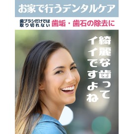 Cata-MEDICA デンタルスケーラ 歯石取り 自宅 での 歯垢 ヤニとり 除去 ステンレス