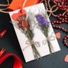 WGXX 12/24 Pack Dried Flowers for Vase Various Mini Bouquet