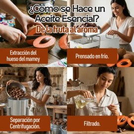 Aceite Masaje Hueso de Mamey Natural 30ml Ga Tlali  Aceite Esencial para Difusor y Masajes, Aroma Cálido y Relajante, Uso en Aromaterapia, Piel y...  