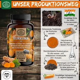 Turmeric Capsules – Important: 50:1 Extract (= 15800 mg Curcuma Per Piece) with 95% Curcumin + Organic Turmeric Powder, Optimised with Piperine, Laboratory Tested, 90 Turmeric Capsules – DE-