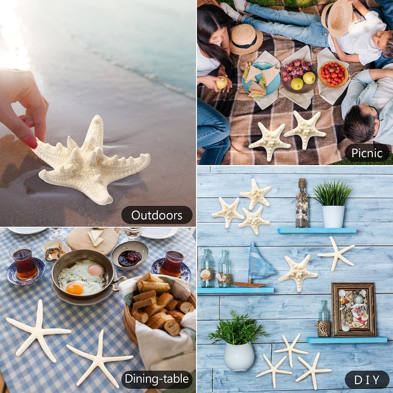 SKOOLOVE 10PCS Natural Starfish Mixed, Finger Starfish and Bread Starfish