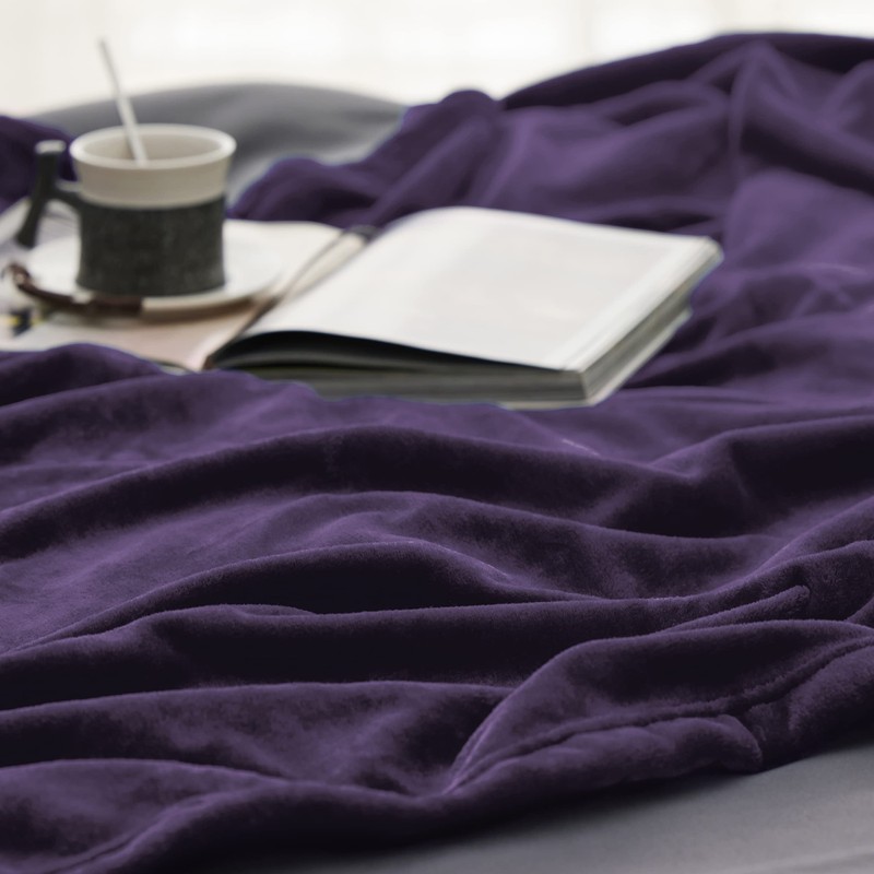 Bedsure Fleece Blanket Sofa Throw - Versatile Blanket Fluffy Soft