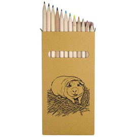 Azeeda 12 x 'Guinea Pig' Long 178mm Coloured Pencils/Pencil Set (PE00066655)