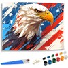 SKRYUIE Paint by Numbers Kit for Adults Beginner Eagle, Acrylic