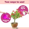 Desert Rose Fertilizer, Complete Liquid Desert Rose Plant Food, 8