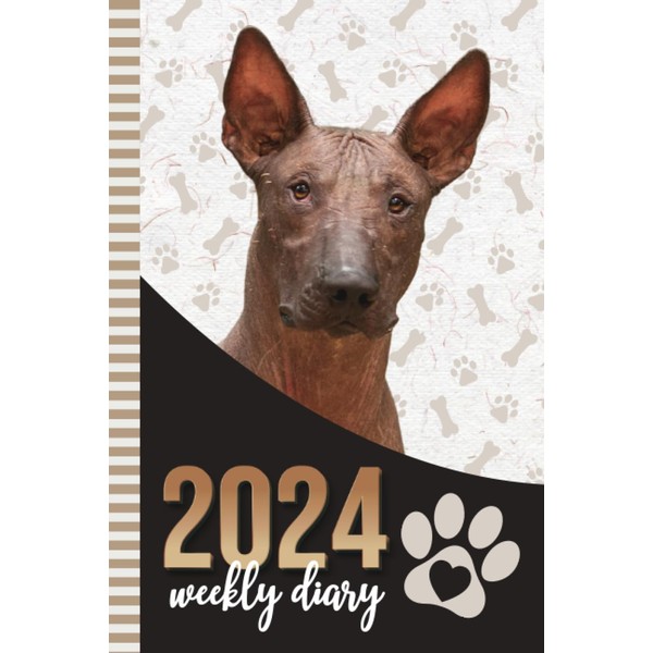 2024 Weekly Diary: 6x9 Dated Personal Organizer / Daily Scheduler