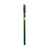 Feadog Irish Brass D Tin Penny Whistle in Green