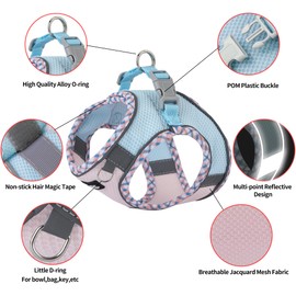 AIITLE Durable Dog Harness and Lead Set for Walks, Step in Puppy Harness, Soft Breathable Pet Accessories, for Extra Small Dogs and House Cats, Blue, Pink, XXXS