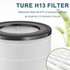 Can-Meageren Filter Replacement Compatible with Greentech Environmental Active HEPA+ Room