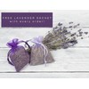 Lavender Lane Blueberry Lavender Simple Syrup, 9 oz - USA